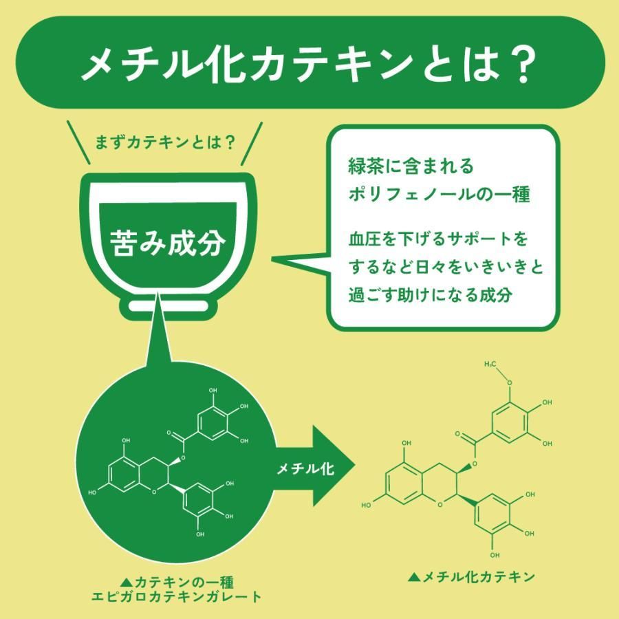 ■WEB べにふうきティーパックタイプ(3g×30ヶ入) 送料無料　