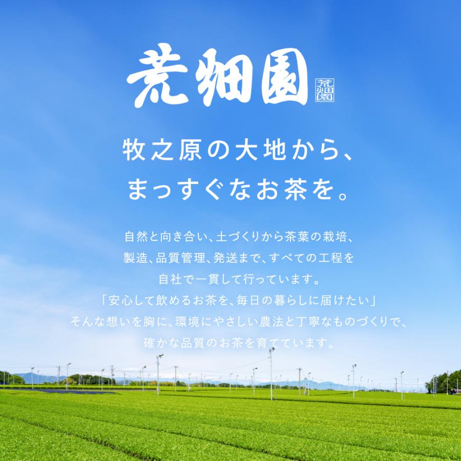 秋のお茶とお菓子のセット 送料無料 
