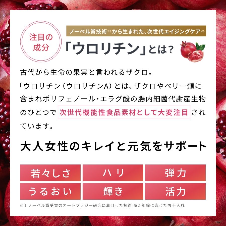 オートファG ウロリチン