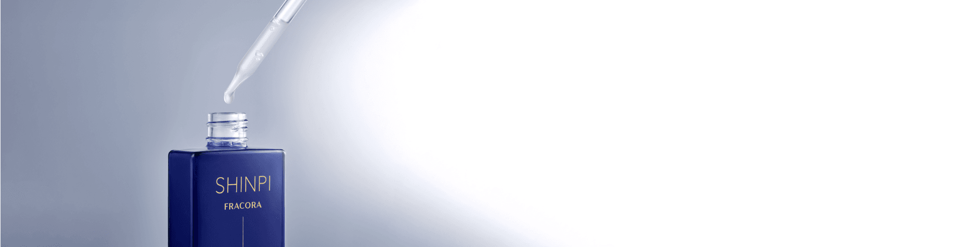 developer's voice