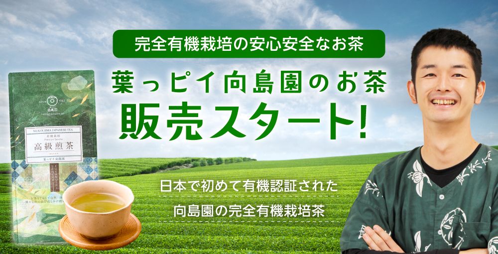 バナー画像